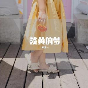 FaunmU-淡黄的梦(Remix)