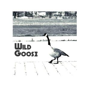 The Chicken Song