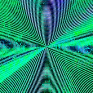 Lizard Tries Warning You Through Dance But It Is Too Late