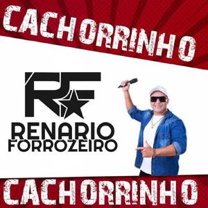 Cachorrinho