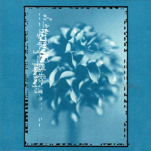 Everything Under The Sun