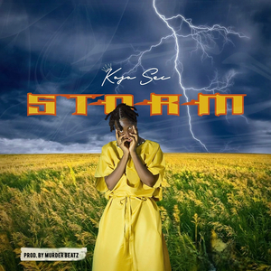 Storm (Radio Edit)