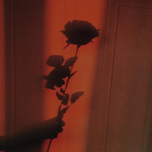 浪 漫 至 死 不 渝