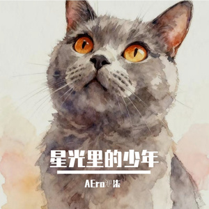 星光里的少年