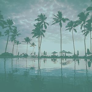 抚慰的奢华回忆