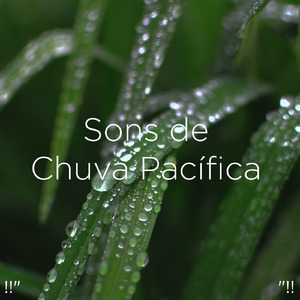 雨の音をリラックス