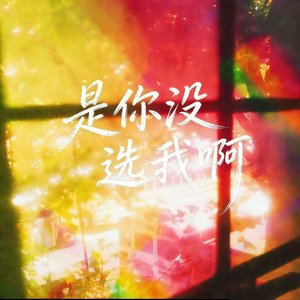 是你没选我啊（是我没等你吗）