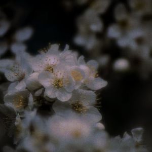 雪代巴(prod.by MORROW x Aye叶师傅