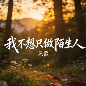 我不想只做陌生人(伴奏)
