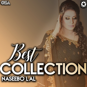 Ghar Aja Naeon Dil Lagda