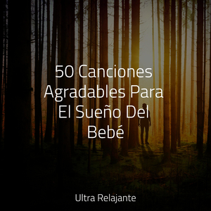 Hojas Revoloteando Hacia Abajo