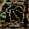 DJ Dowle - Brass (Ancodynew Extended Remix)