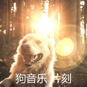 微妙的睡狗心情