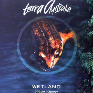 Wetland