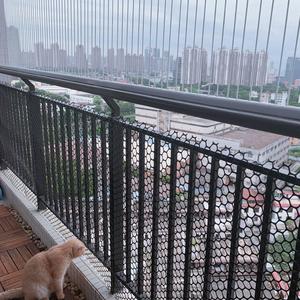 8月的一通留言