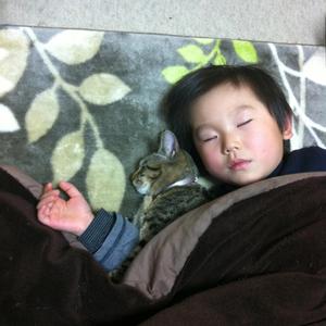 君の手のぬくもり