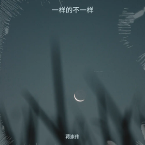 一样的不一样(男版)(伴奏)