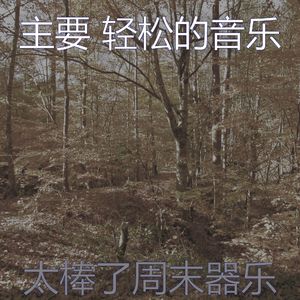 安静的养生声音