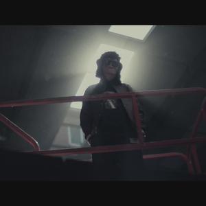 其实我是个导演