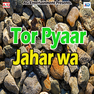 Na Ayeve Ka Re Pagli Bol