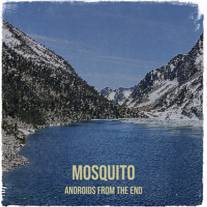 Mosquito