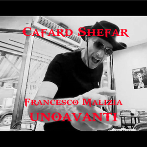 Cafard Shefar
