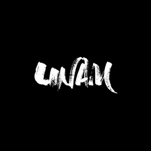 KALEO-Way Down We Go-(UNAM_REMIX)