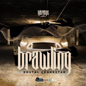 Brawling