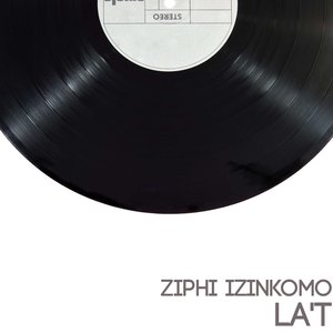 Ziphi IziNkomo