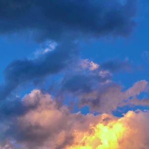 暗夜中的不败之花