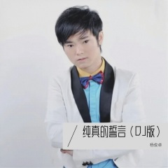 纯真的誓言 (DJ加快版)