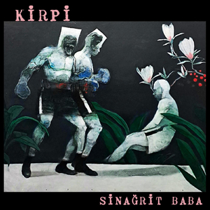 Kirpi