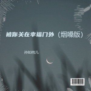被你关在幸福门外（烟嗓版）