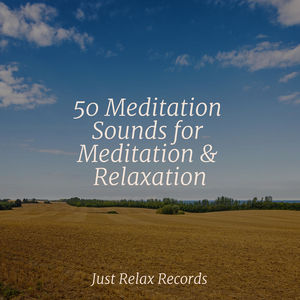 Desert's Melodic Mirage