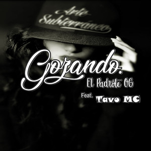 Gozando (feat. Tavo MC)