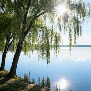 忍住 (Cover 司马缸砸光)