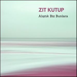 Alıştık Biz Bunlara