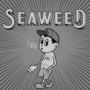 Seaweed