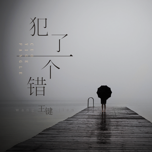 犯了一个错 王键