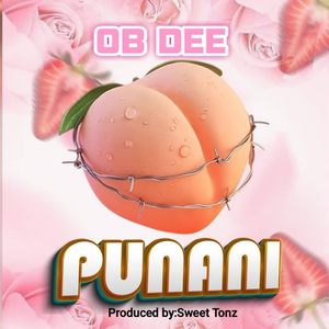 Punani