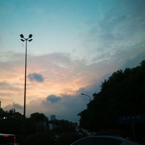 一点归鸿