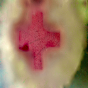 Sulphur (Orbit Service)