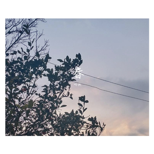 他曾赠我一抹春-无损伴奏