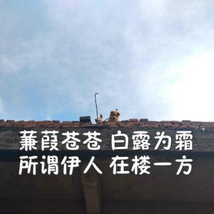 一醉一世之白露为霜