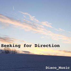 Seeking for Direction