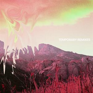 Temporary (feat. Lizdek) [Lizdek Remix] (Lizdek Remix) (Lizdek Remix)