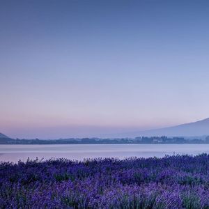 王菲-红豆（Large bowl remix）