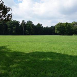 Green Grass (feat. Prezident)