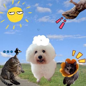 毛茸茸的幸运.mp3