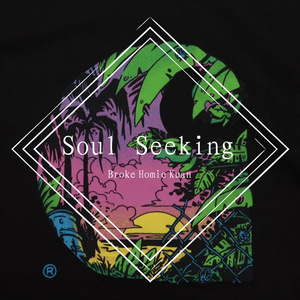 Soul Seeking